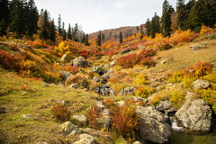 Грузия, Аджария